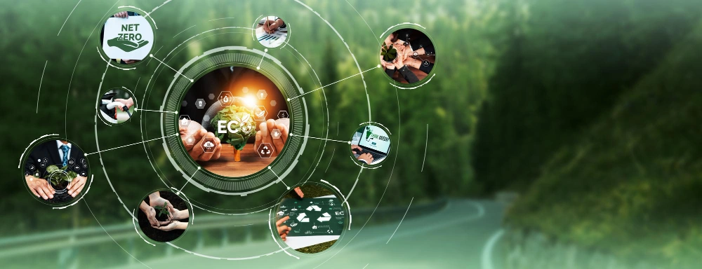 How We Transform Your ESG Journey