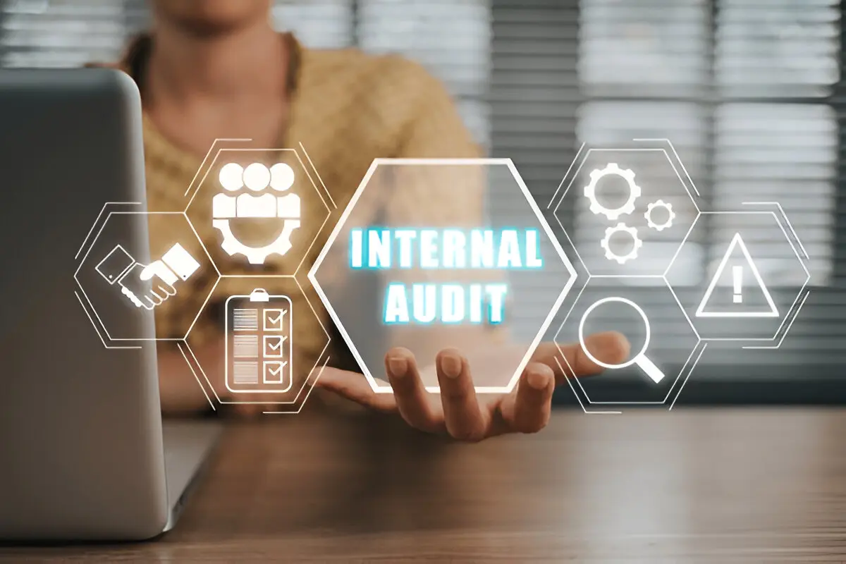 Risk based internal audits